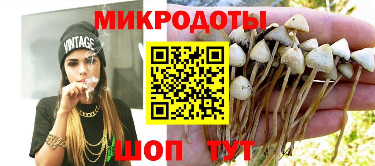 Волжский  Галлюциногенные грибы Cubensis  где купить наркотик  Вход с VPN 